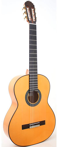 flamenco-13.jpg